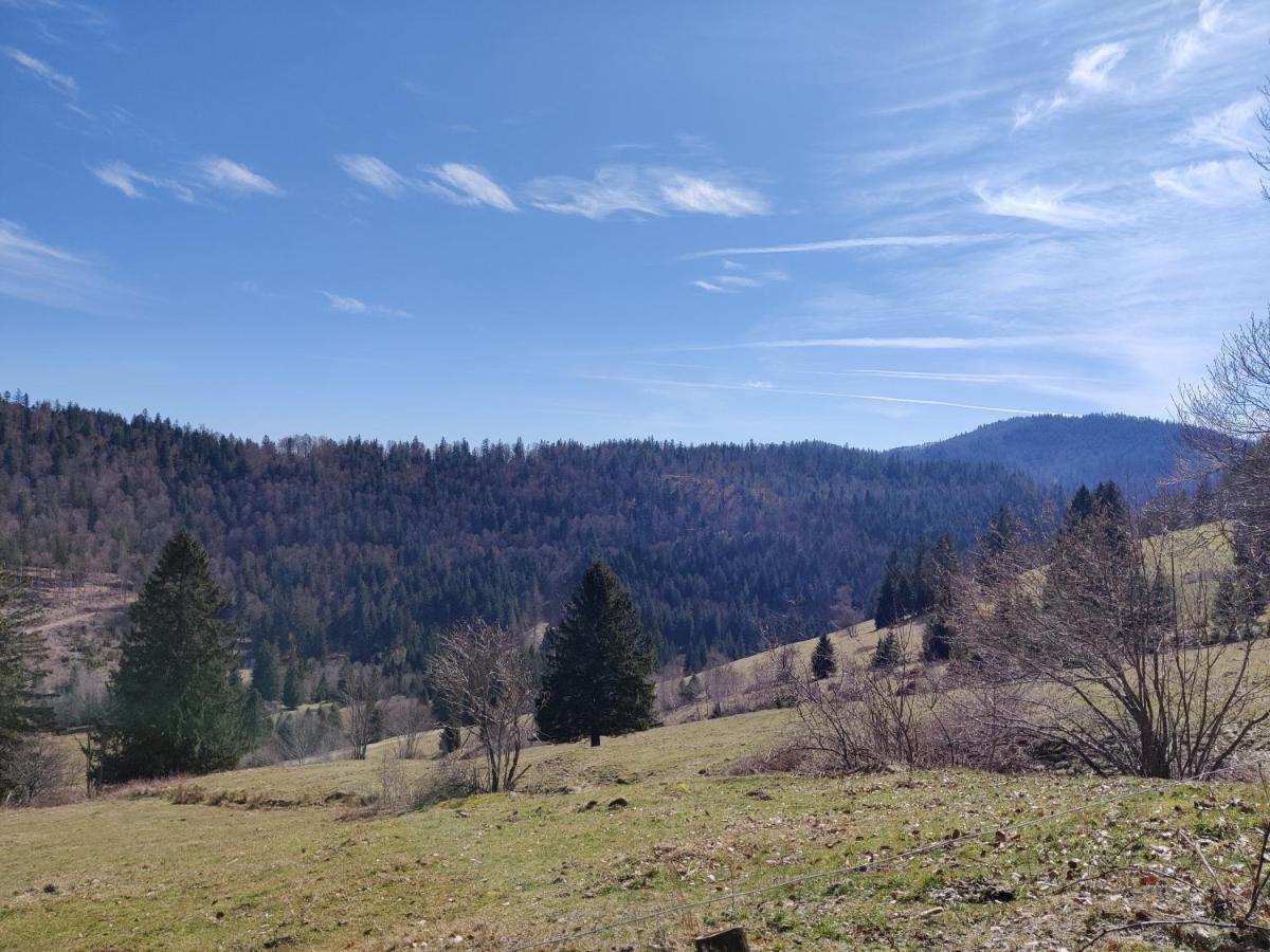 Berggasthaus Prager Boden Todtnau
