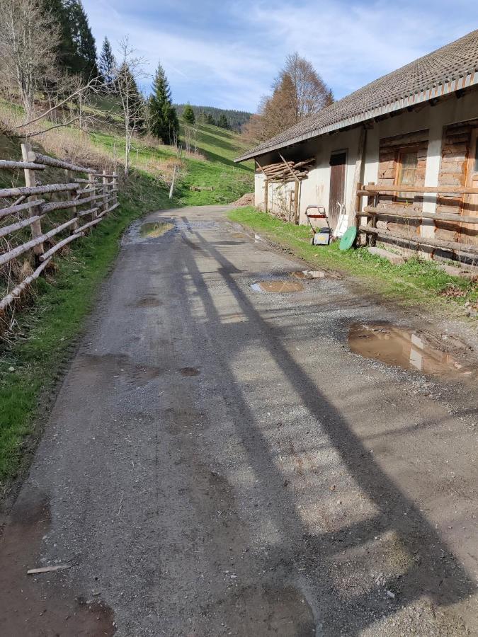 Berggasthaus Prager Boden Todtnau