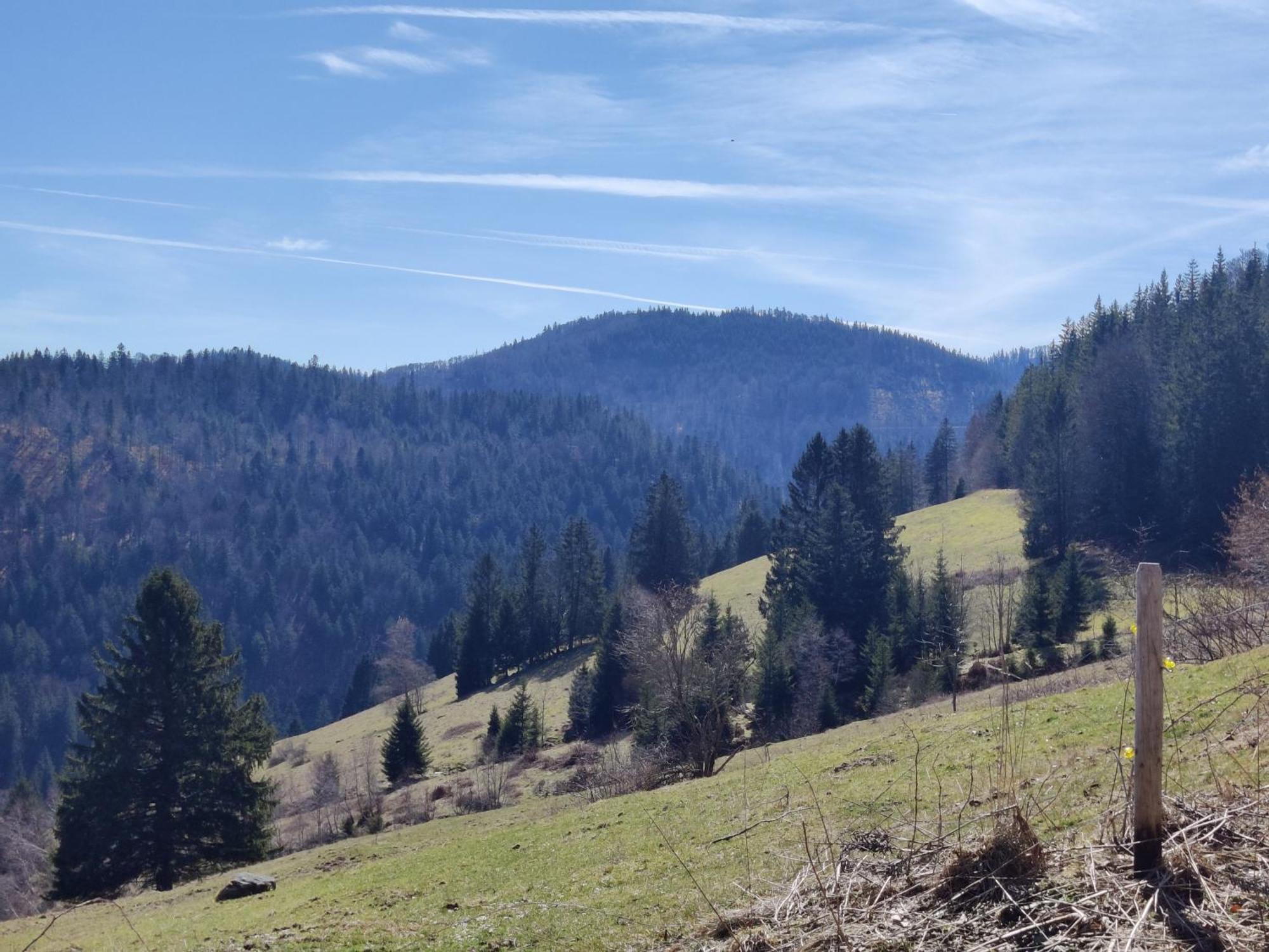 Berggasthaus Prager Boden Todtnau