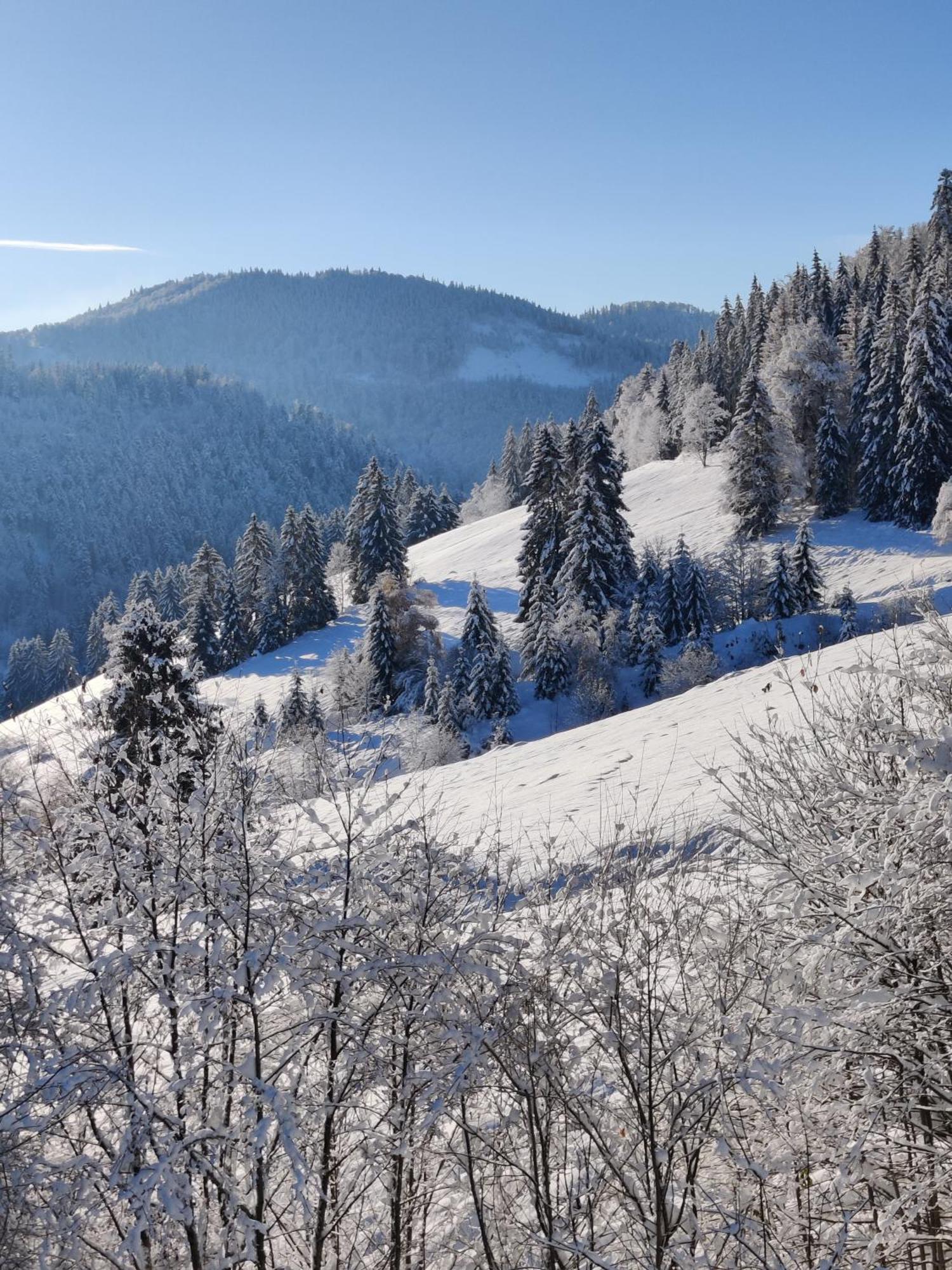 Berggasthaus Prager Boden Maison d'hôtes Todtnau