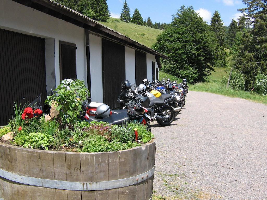 Berggasthaus Prager Boden Todtnau